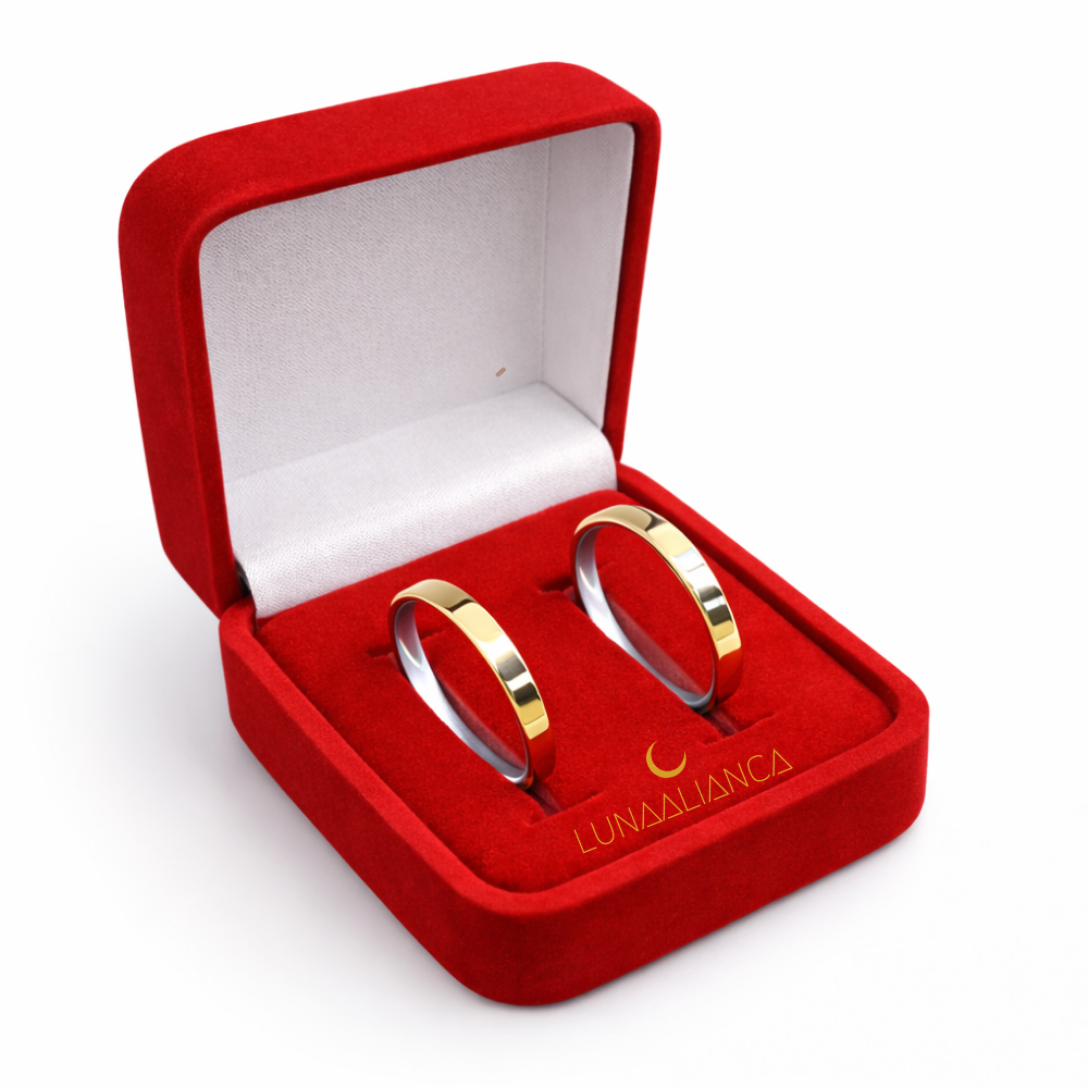 Aliança de Ouro com prata - Imagem 2